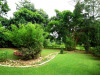 ashanboni-farmhouse-gardens