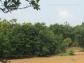 Ballavpur Sanctuary, Birbhum