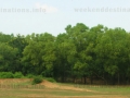 Ballavpur forest