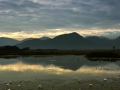 Around Bangriposhi