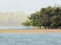 bhitarkanika6