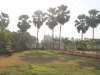 chandni-jaltungi-lawn