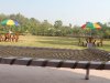 chandni-jaltungi_lawn