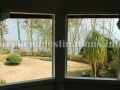 Lawn in front of Homestay