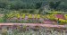 nature-park