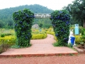 butterfly-park