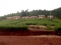 daringbadi-cottages