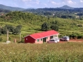 daringbadi-reception