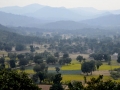 daringbadi