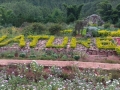 nature-park