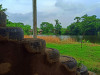 dwarhatta-tyre-resort