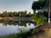 ghatshila_farm_area