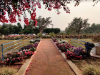 ghatshila_farmhouse-garden
