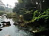 ghatshila_farmhouse-river
