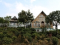 Cottages at Jhandi