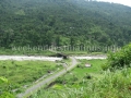 Road to Jhandi
