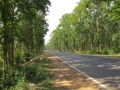 Around Joypur