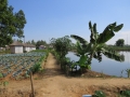 InsideJoypur resort1