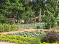 Joypur resort 1