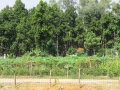 Joypur resort