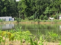Joypur resort1