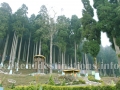 Lamahatta park near Darjeeling