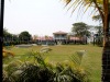 lawn