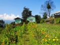 jhusing_homestay
