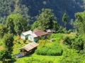 jhusing_homestay1