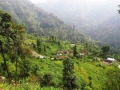 tagathang
