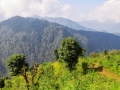 way_to_mulkarkha