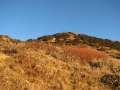 Eagles Nest bunker