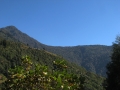 Padamchen