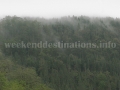 Forest around Ramdhura