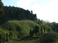 9-mile viewpoint near Rangbang