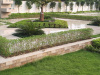 raypur_resort-garden