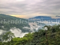 View from Rongbull