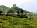 Around Singell