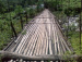 bamboo-bridge-in-sitong