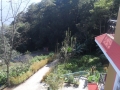 Forest around Solofok Hotel