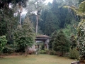 Tendong Hill Bio Park