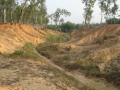 Khoai at Sonajhuri