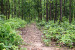 susunia-trekking