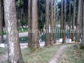 Lamahatta lake near Takdah