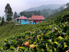 tam-dhara-cottage