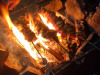tamdhara-homestay-barbecue