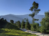 tamdhara-tea-gardens