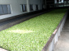 temi-factory_visit