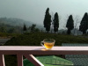 temi-view-from-room