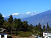 temi-view